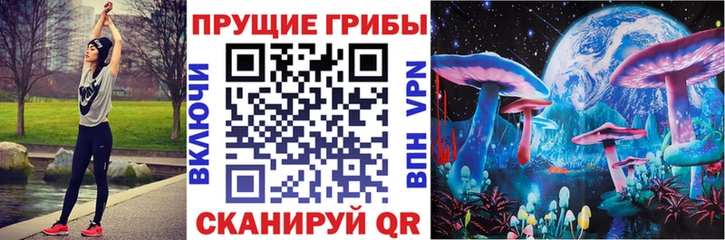 Псилоцибиновые грибы GOLDEN TEACHER  цены наркотик  kraken зеркало  Кудрово 